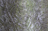 Chapel fibreglass roof work